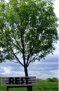 Rest front cover - Page 001