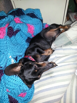 wp-1405296105405 image